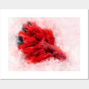 Red Betta Fish watercolor Posters and Art